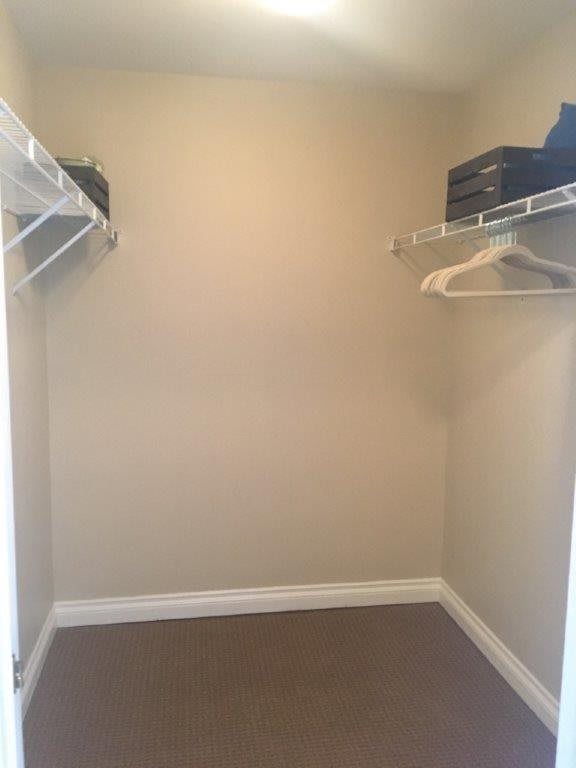 An empty closet with shelves and a hanger.