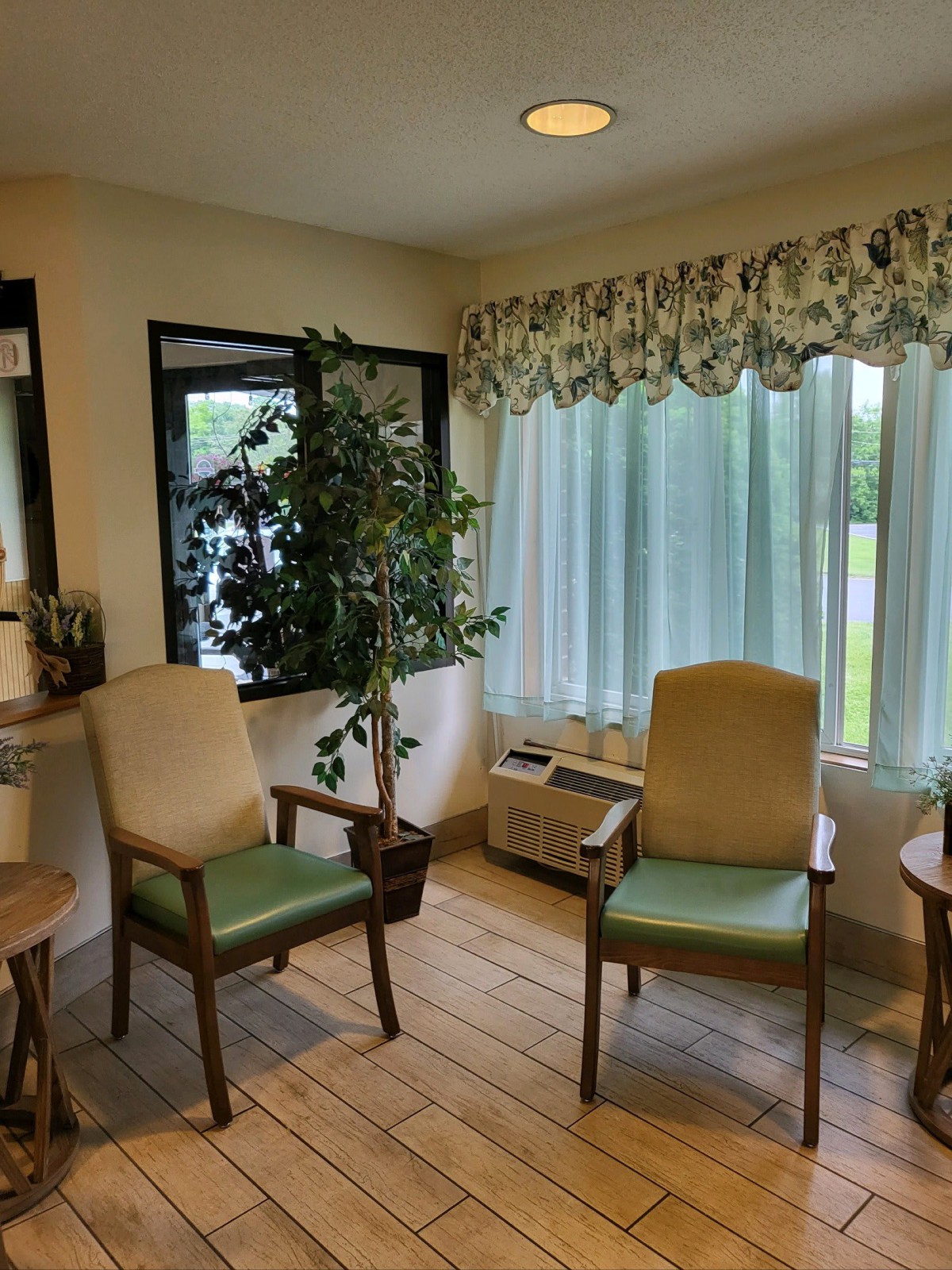 A cozy waiting room with chairs, a plant, and large windows.