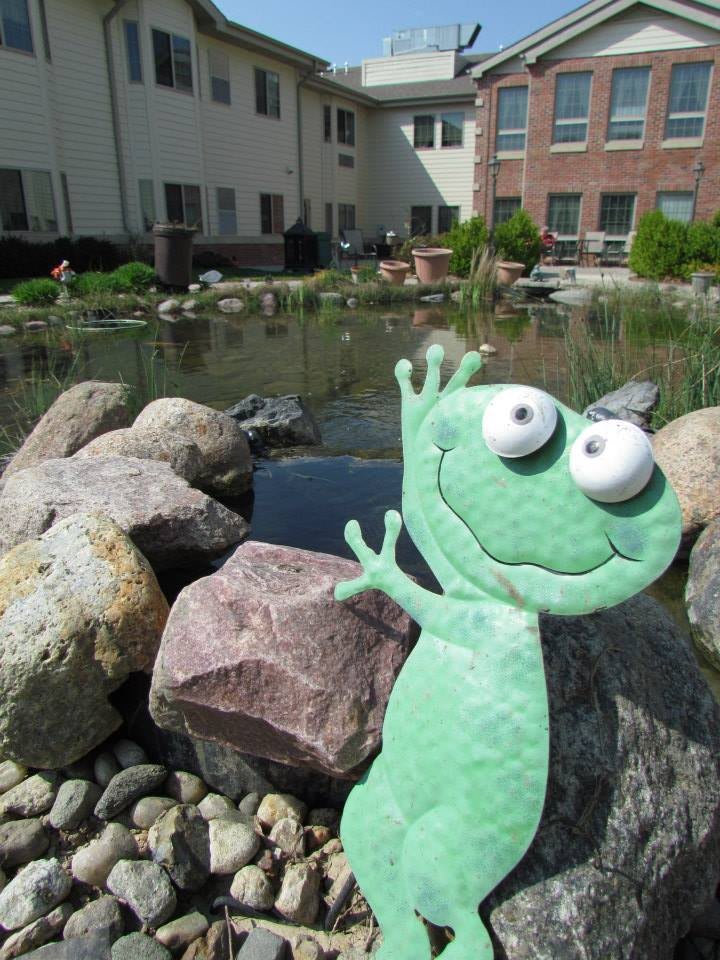 A cheerful cartoon frog poses by a pond in a garden.