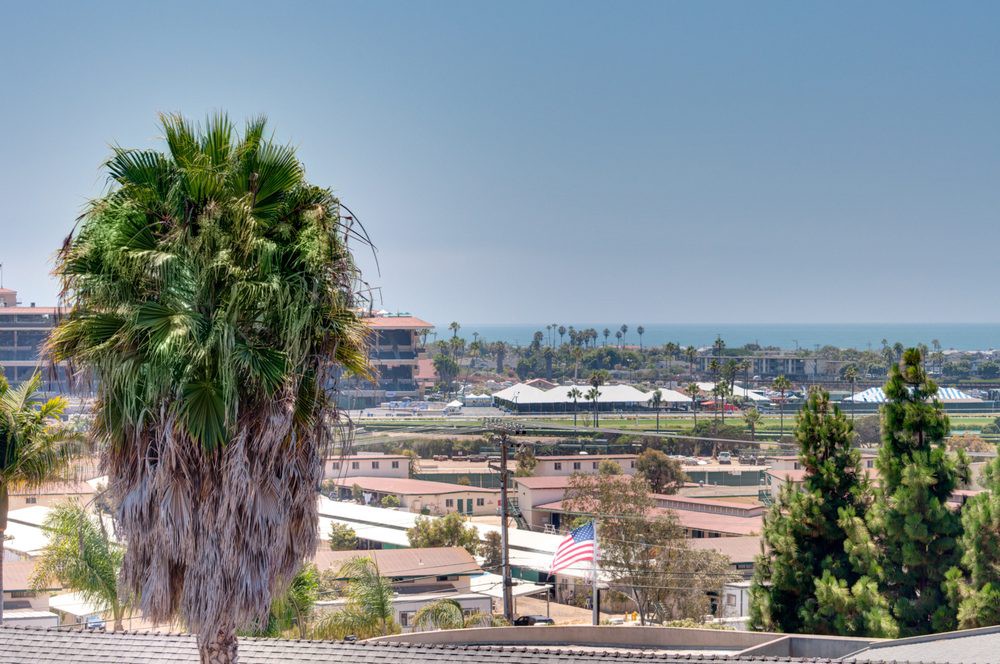 A scenic view of an urban area with palm trees and buildings in the distance.