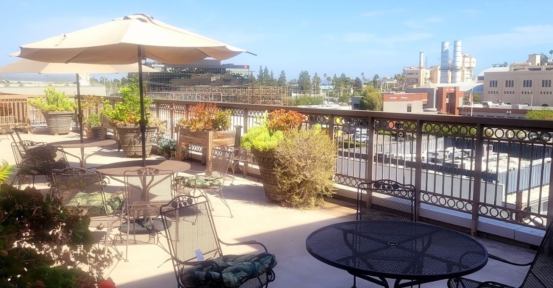 A sunny outdoor patio with tables, chairs, umbrellas, and lush plants overlooking a cityscape.