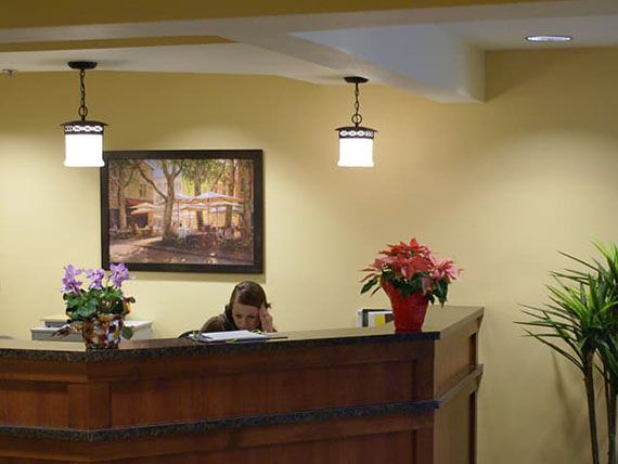 Reception desk in an office with plants and artwork on the wall.