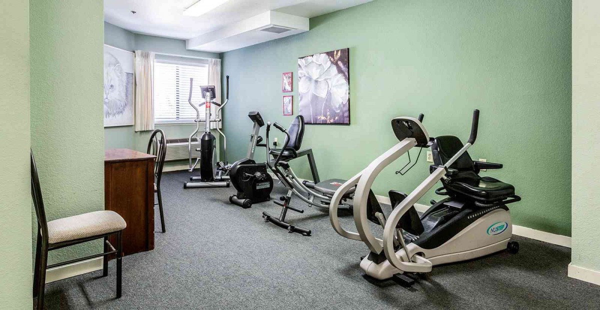 A small gym with various exercise equipment including treadmills and ellipticals.