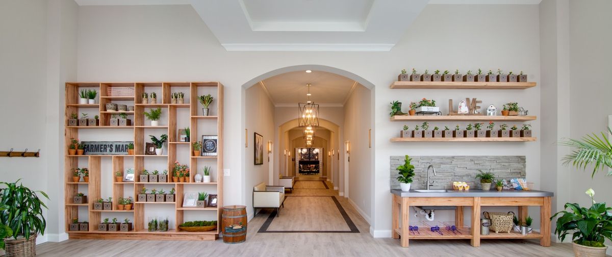 A beautifully decorated hallway with plants and shelves in a modern home.