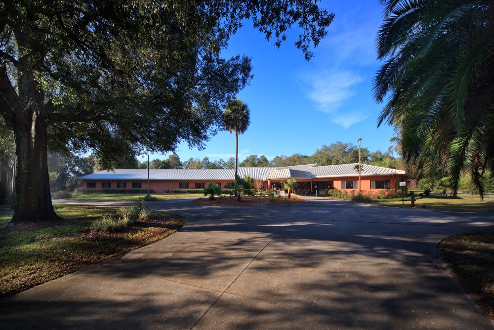 Wellsprings Residence
