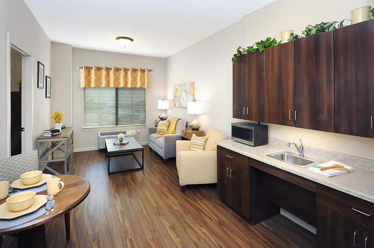 A modern, furnished living room with a kitchenette, featuring wood flooring, a sofa, and various decor elements.