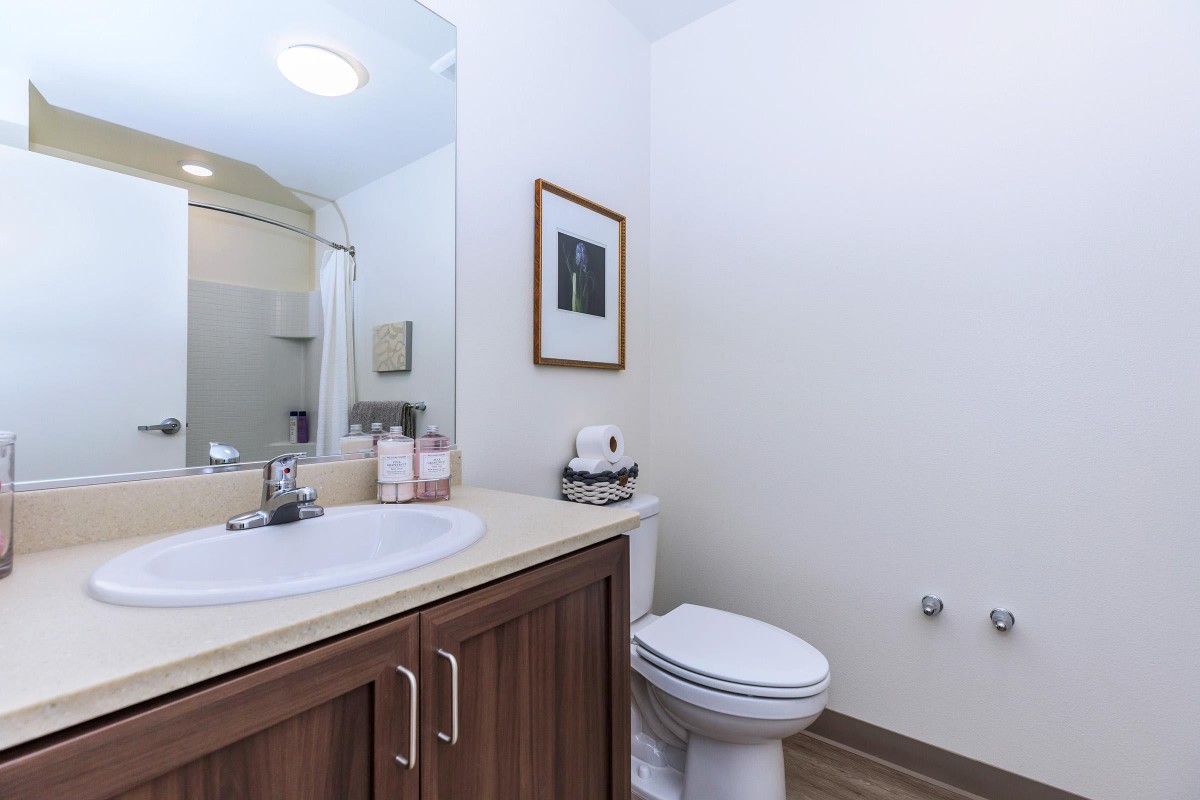 A modern bathroom with a sink, toilet, and shower area.