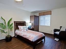 A minimalist bedroom with a single bed, wooden flooring, and a potted plant by the window.