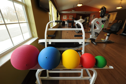 A variety of colorful exercise balls arranged on a rack in a gym setting.