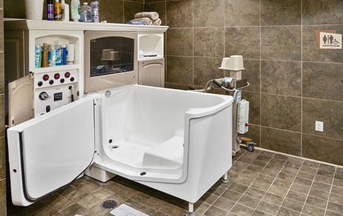 A modern bathroom featuring a walk-in bathtub designed for accessibility.