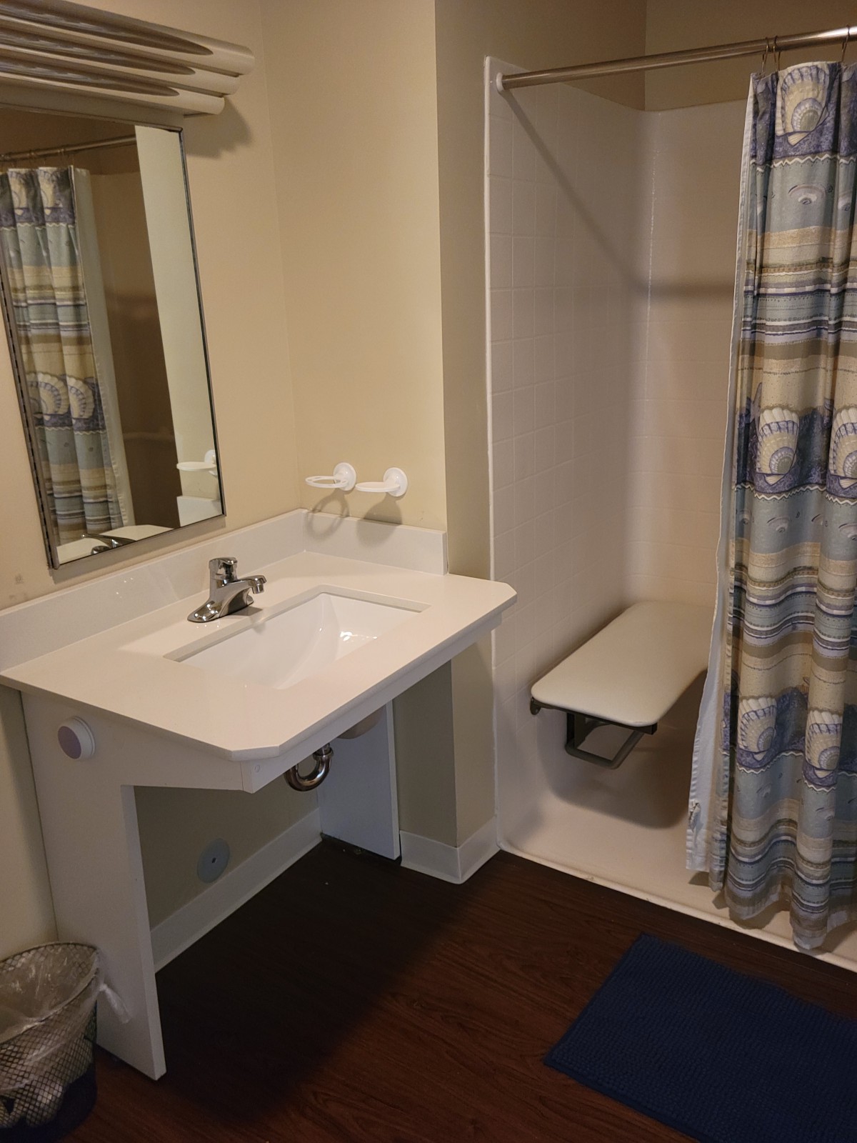 A bathroom featuring a sink with a mirror, and an accessible shower area with a curtain.