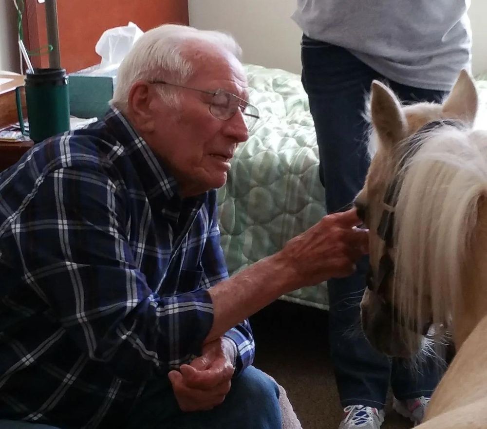 An elderly man interacts with a horse indoors.
