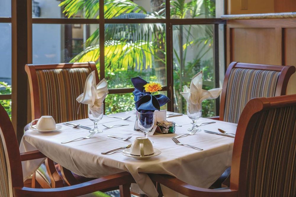 A beautifully set dining table in a restaurant with a view of lush greenery outside the window.