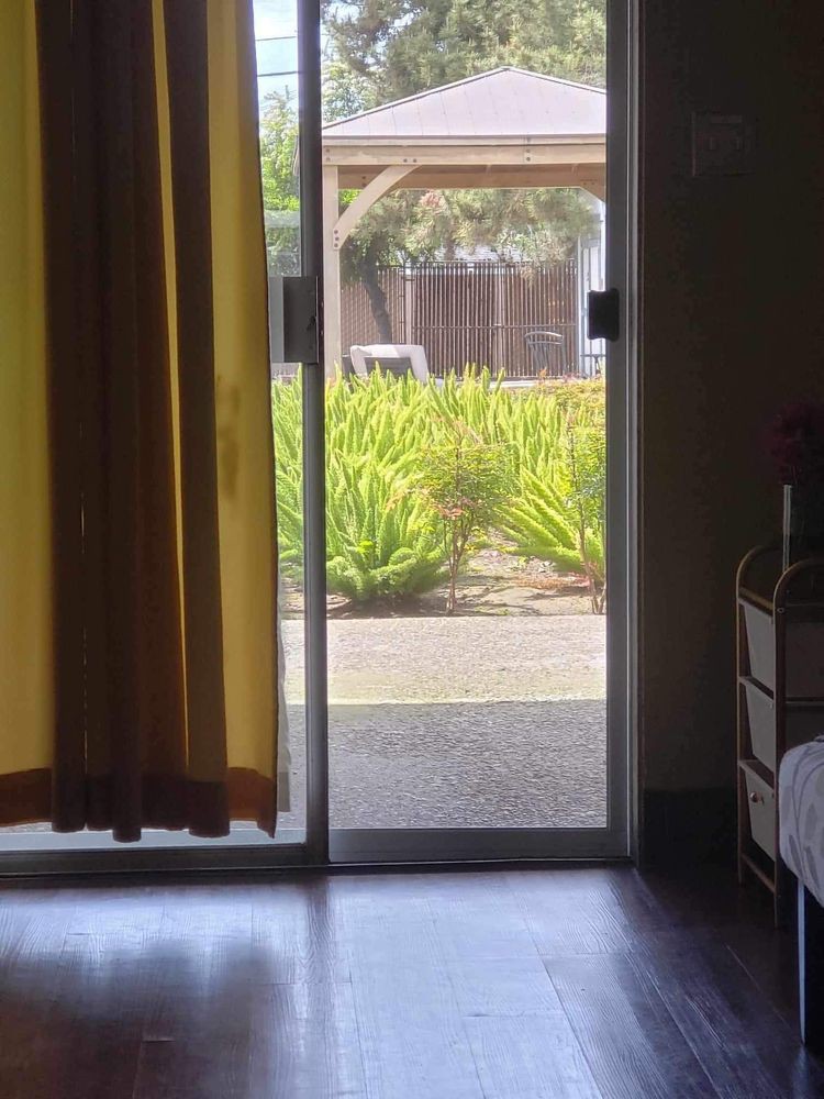A room with sunlight streaming in through a sliding glass door, offering a view of a garden outside.