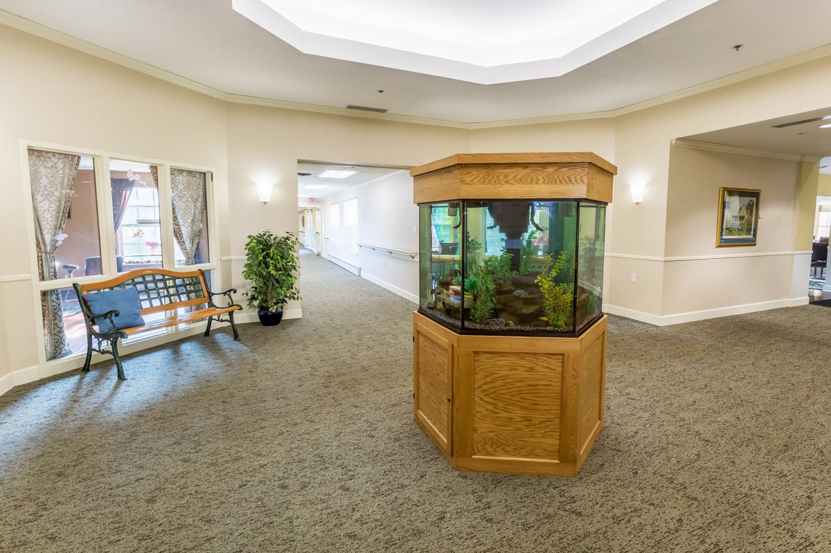 An indoor lobby area featuring a centrally placed aquarium and decorative plants.