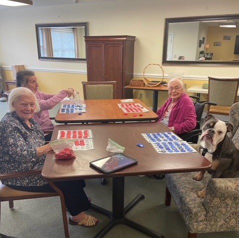 A group of seniors playing a game at a table with a dog nearby.