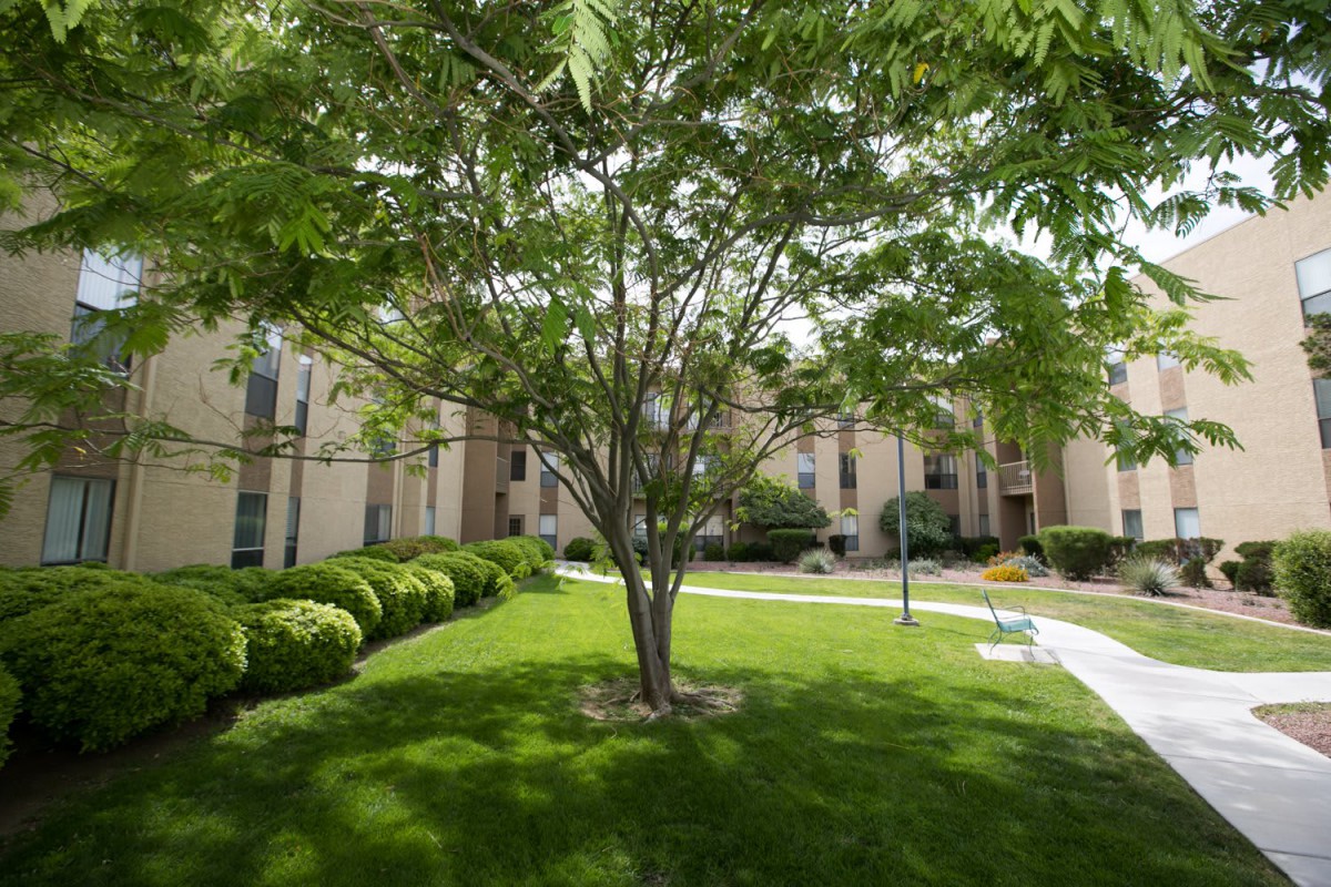 A lush green lawn with a tree in front of residential buildings.