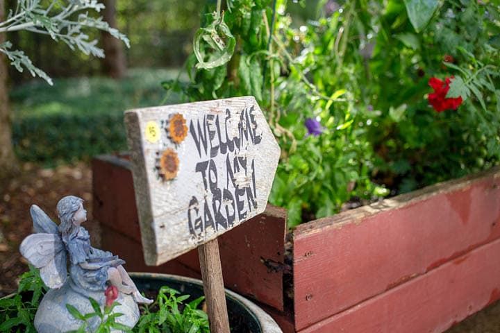 A welcoming wooden sign in a lush garden with thriving plants.