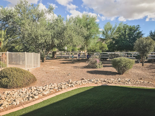 A tranquil backyard scene featuring lush trees and a fenced area under a partly cloudy sky.