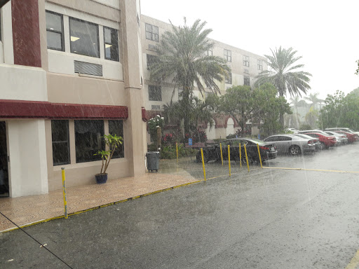 A heavy downpour hits an urban area, with palm trees lining the street and a car parked nearby.