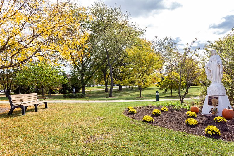 A scenic park landscape with a pathway surrounded by trees and flowers during autumn.