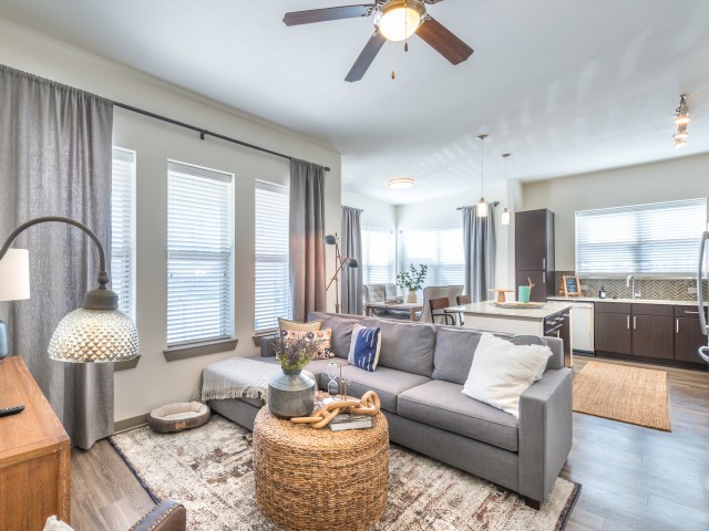 A modern, open-concept living room with a cozy sofa and stylish decor, seamlessly connected to the kitchen area.