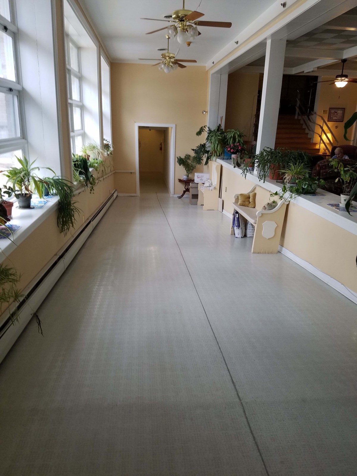 A well-lit hallway with large windows and various potted plants along the walls.