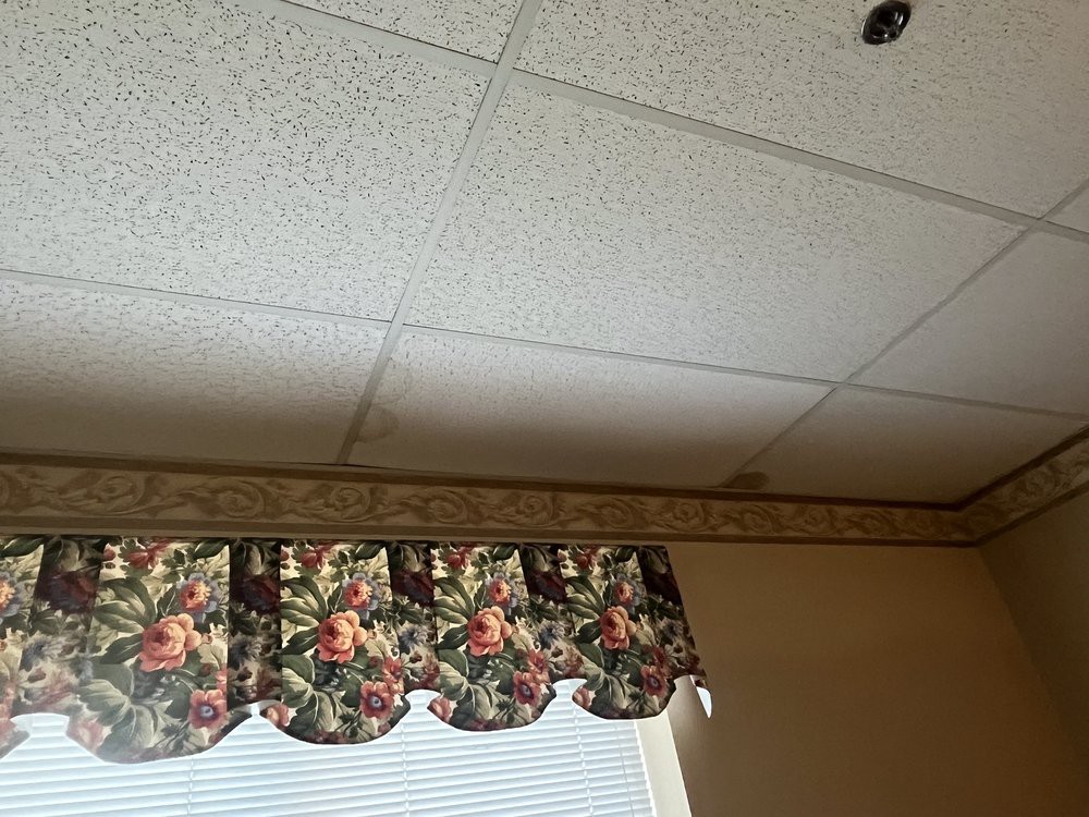 A view of a ceiling with tile panels and a window adorned with a floral valance.