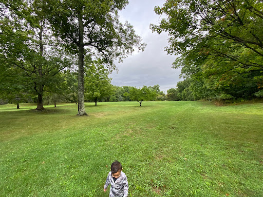 A child exploring a lush green field surrounded by trees on a cloudy day.