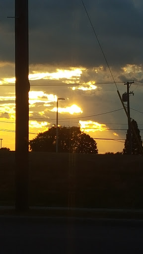 A beautiful sunset with dramatic clouds and silhouettes of trees against the fading light.