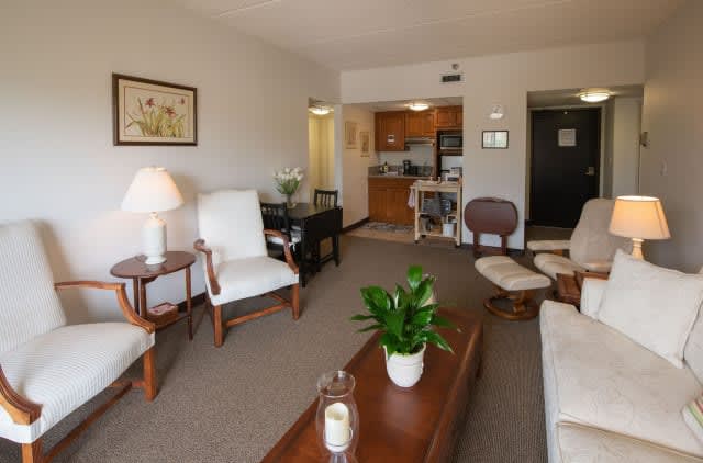 A cozy living room with comfortable armchairs, a coffee table, and indoor plants.