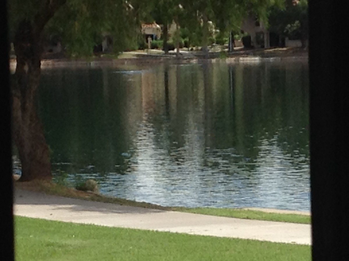 A serene lakeside scene with a grassy pathway and surrounding trees.