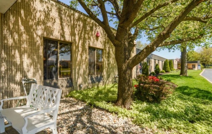 A peaceful garden scene with a tree providing shade near a building and a bench.