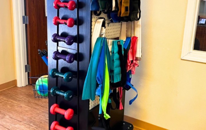 A neatly organized storage rack with dumbbells and various workout accessories.