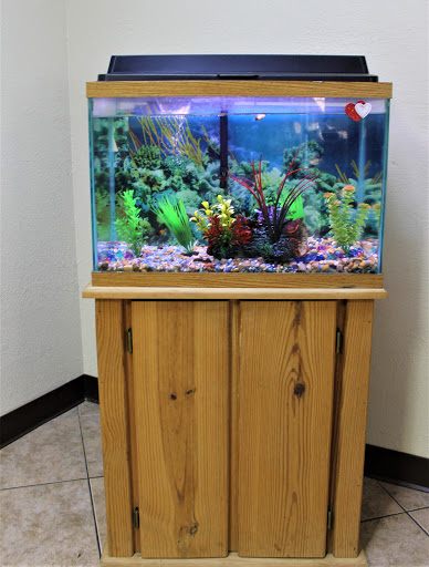 A vibrant aquarium filled with aquatic plants and colorful decorations, resting on a wooden stand.