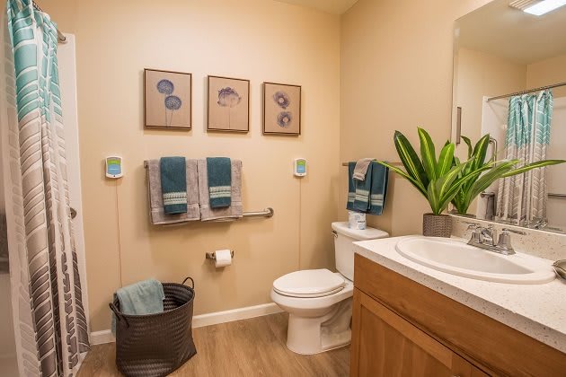 A neatly arranged bathroom featuring a toilet, sink, and decorative elements such as towels and wall art.