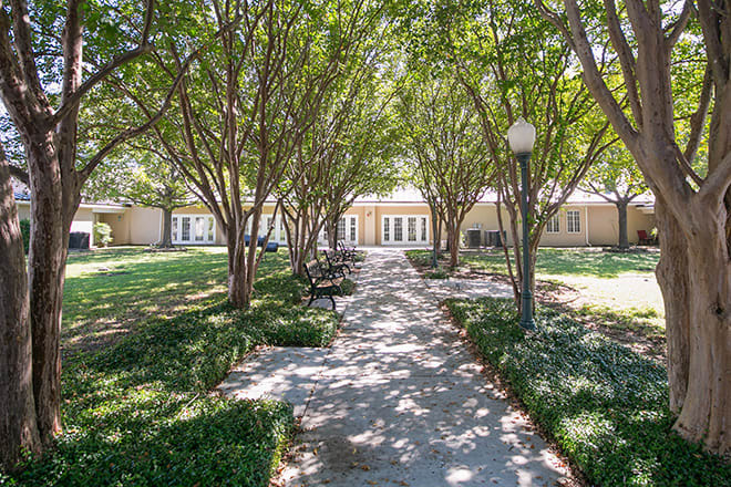 A tree-lined pathway leading to a building in a garden setting.