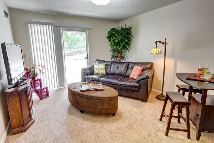Cozy living room with a sofa, coffee table, and indoor plant.