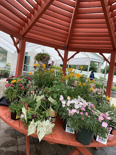 A vibrant display of various potted flowers under a charming gazebo.