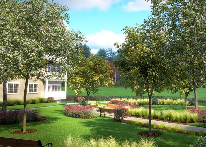 A beautiful garden landscape with trees and pathways on a sunny day.