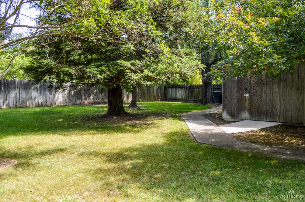 A serene outdoor area featuring a large tree, green grass, and a concrete pathway.