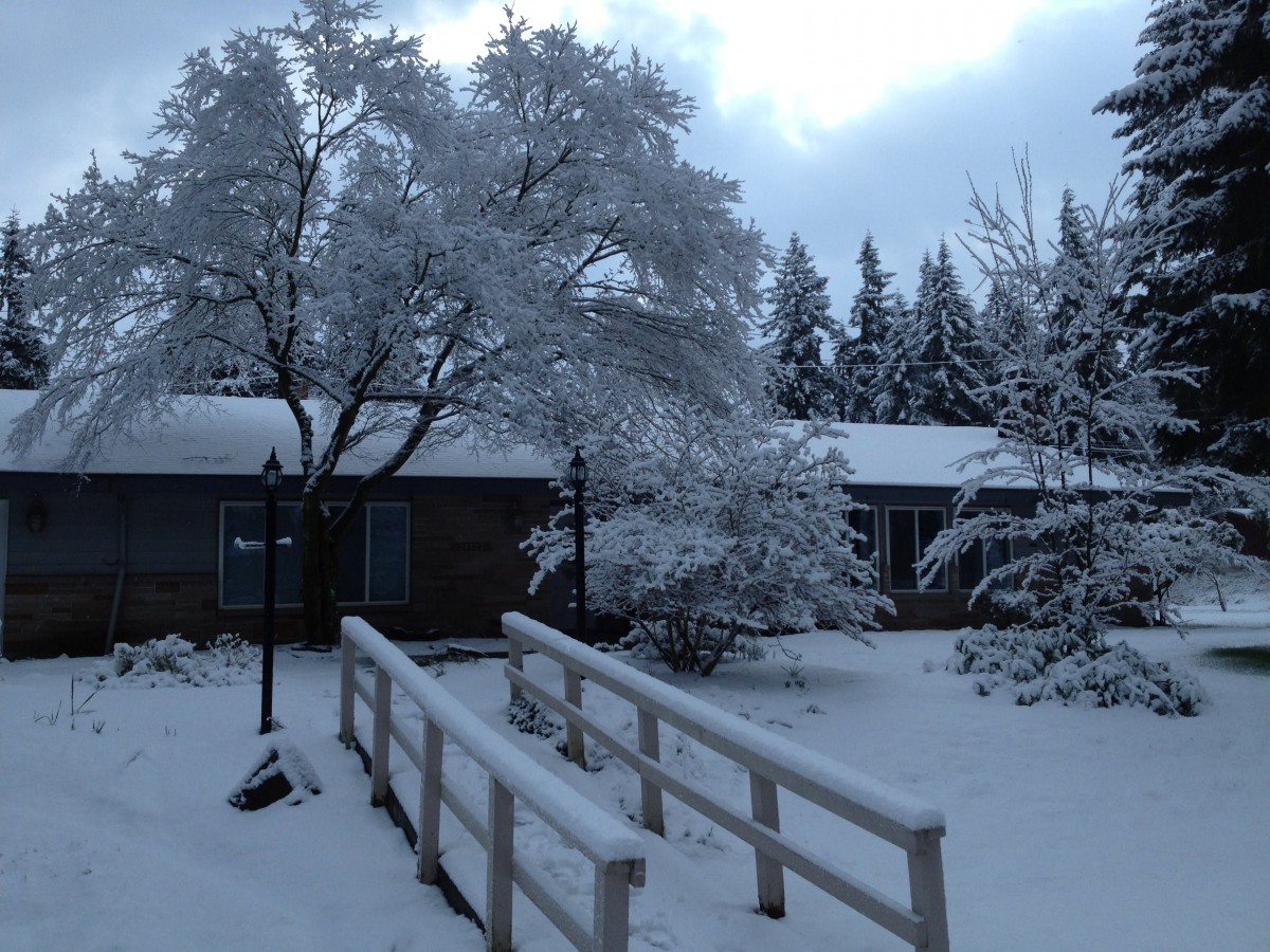 A serene winter scene with a snow-covered cabin and trees.