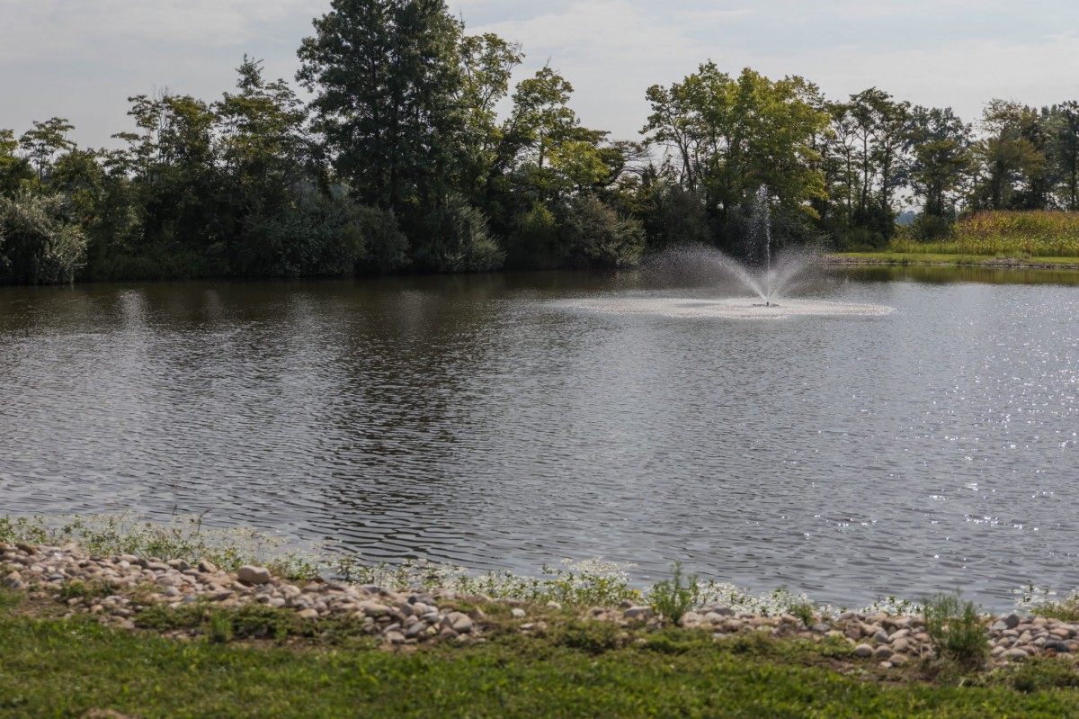 A serene lake with a fountain surrounded by trees.
