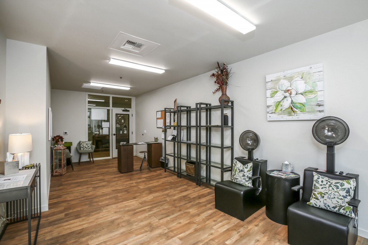 A modern salon interior with wooden flooring and decorative elements.