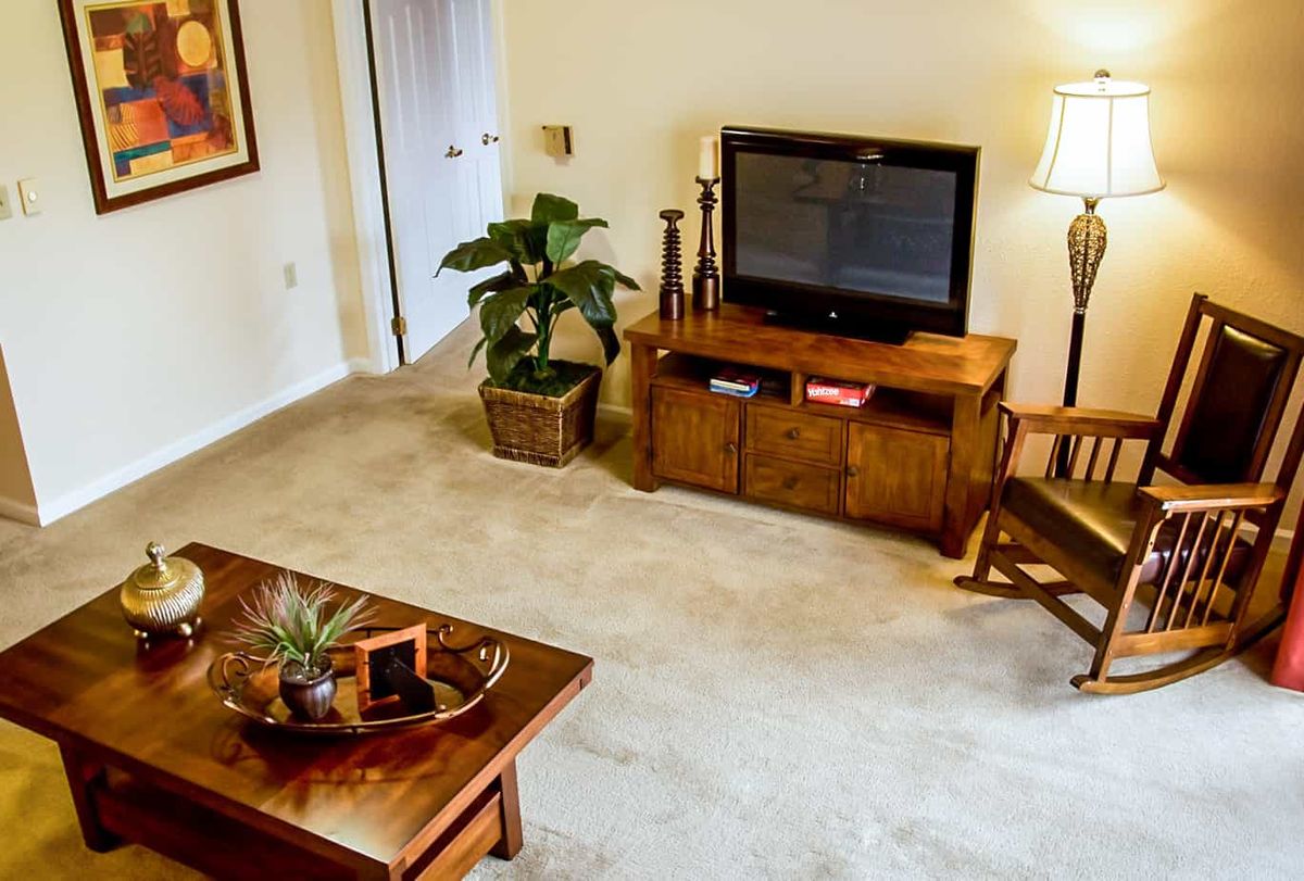 A cozy living room with a television, coffee table, and indoor plant.