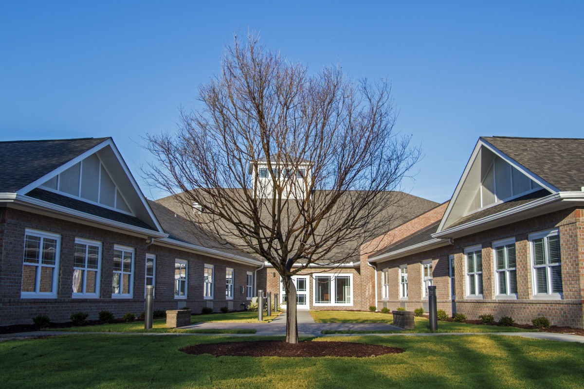A courtyard with a tree in front of a building on a clear day.
