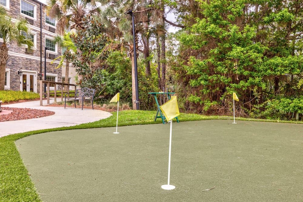 A serene putting green surrounded by trees with several flags marking holes.