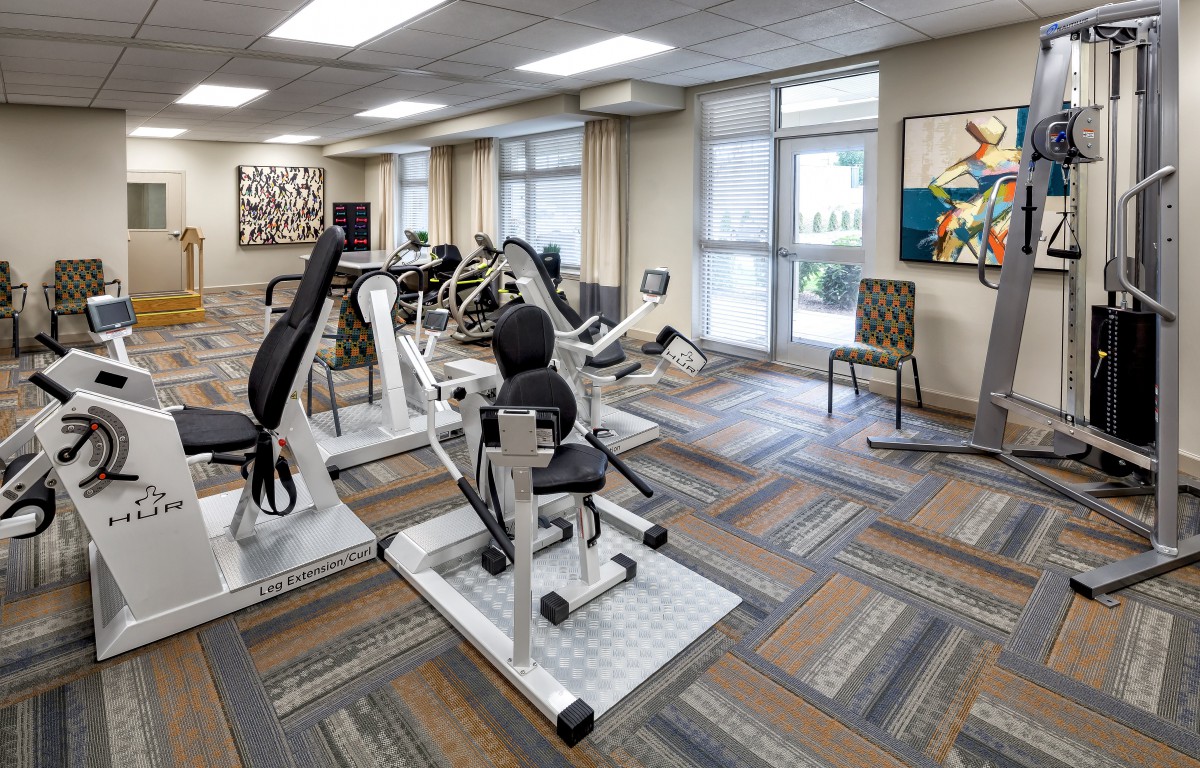 A well-equipped modern gym with exercise machines and stylish decor.