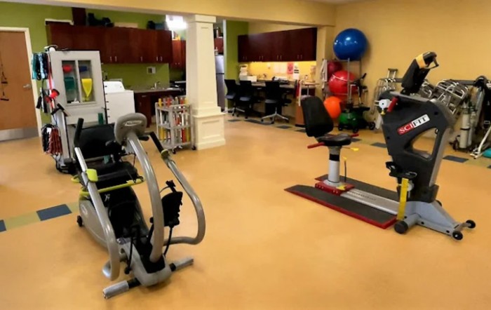 A well-equipped gym with various exercise machines and fitness tools.