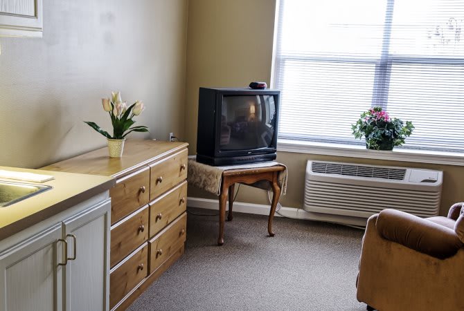A small living room with a TV on a stand, dresser, and potted plant next to a window.